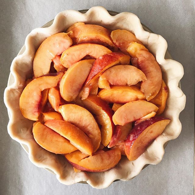 73% of you said you’d eat my peach pie with peel on. 🧡 Woo Team Peel. Team Fiber? LOL. Swipe 👉 for streusel which is the main reason why I’m making this. Who doesn’t love a crumble top? I like it very chunky and pebbly vs. sandy. Recipe coming. 73% of you said you’d eat my peach pie with peel on. 🧡 Woo Team Peel. Team Fiber? LOL. Swipe 👉 for streusel which is the main reason why I’m making this. Who doesn’t love a crumble top? I like it very chunky and pebbly vs. sandy. Recipe coming.