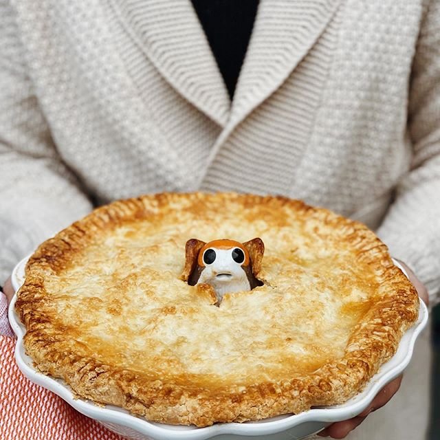 It’s a PORG PIE. 🥧 I’ve never used a pie bird before so this was fun. Filled with 3 kinds of apples. I tested a new crust and the texture was off but let’s just say it resembles the craggily terrain where the cliff-dwelling porgs live on the planet Ahch-To. I totally had to wiki that bit or rather Wookieepedia. 😛